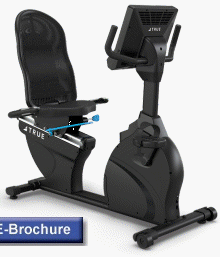 True Performance Recumbent Cycle